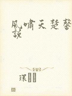 风啸天楚馨月小说