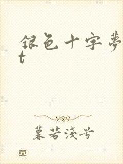银色十字梦txt