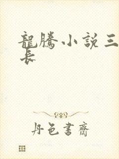 龙腾小说三宝局长