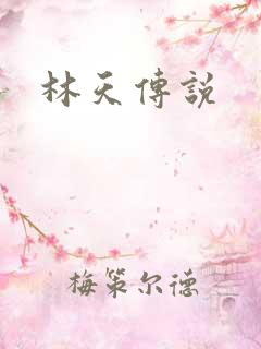 林天传说