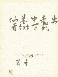 仙墓中走出的强者txt下载