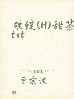 破绽(H)甜茶txt