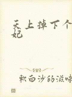 天上掉下个奇王妃