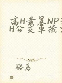 高H黄暴NP辣H公交车检票员