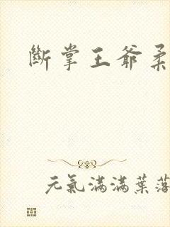 断掌王爷柔水妃