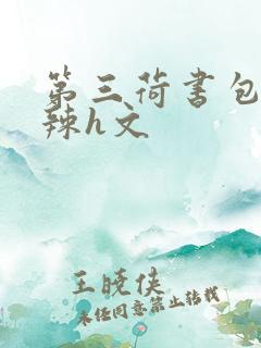 第三荷书包网高辣h文