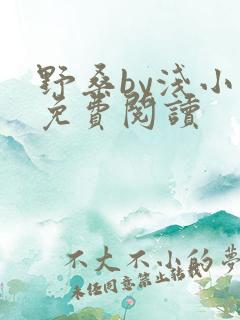 野桑by浅小说免费阅读