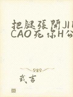 把腿张开JI巴CAO死你H公园