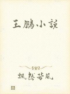 王鹏小说