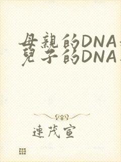 母亲的DNA和儿子的DNA是一样的吗