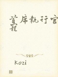 首席执行官的绝宠