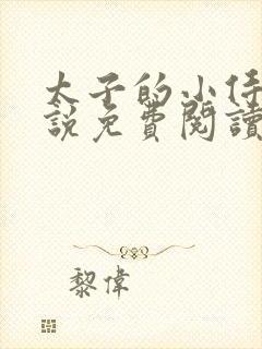 太子的小侍妾小说免费阅读全文