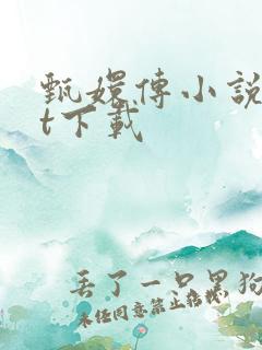 甄嬛传小说txt下载