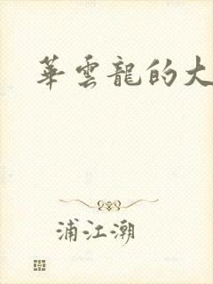 华云龙的大宝贝