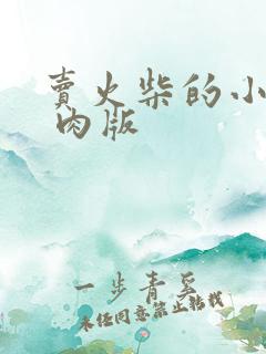 卖火柴的小男孩 肉版