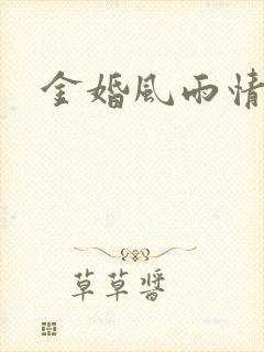 金婚风雨情下载