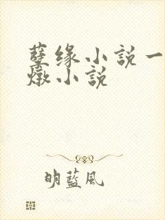 孽缘小说一家乱炖小说