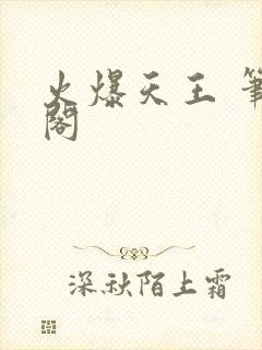 火爆天王 笔趣阁