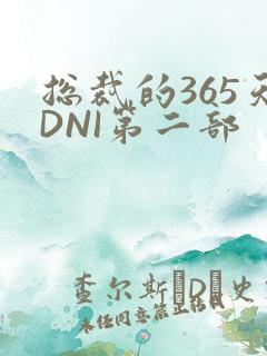 总裁的365天DNI第二部