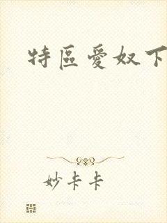 特区爱奴下载