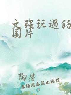 文强玩过的女人图片