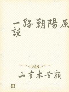 一路朝阳原著小说