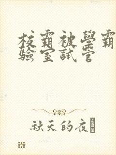 校霸被学霸压实验室试管