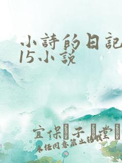 小诗的日记1一15小说