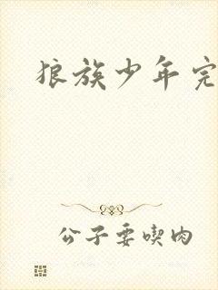 狼族少年完整版