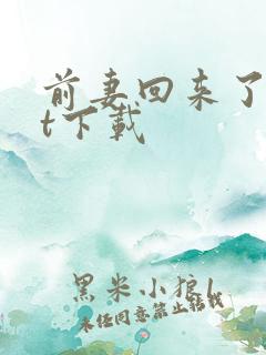 前妻回来了txt下载