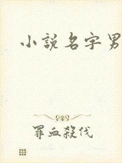 小说名字男生