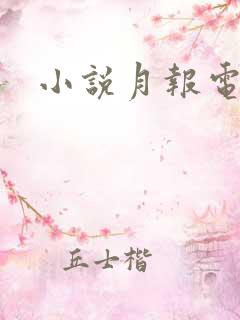 小说月报电子版