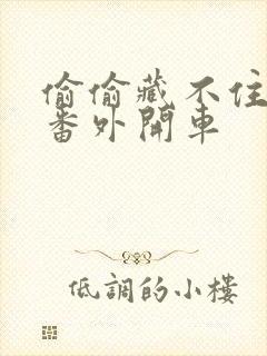 偷偷藏不住婚后番外开车