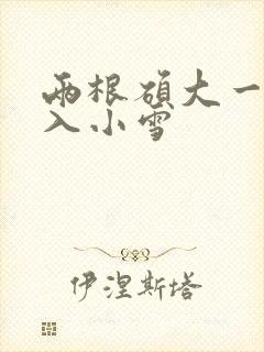 两根硕大一起挤入小雪