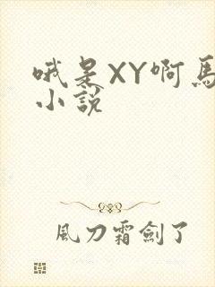 哦是XY啊马仔小说