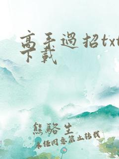 高手过招txt下载
