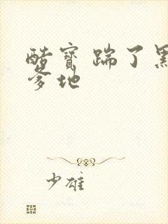 酷宝 踹了黑道爹地