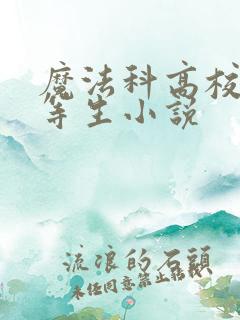 魔法科高校的劣等生小说