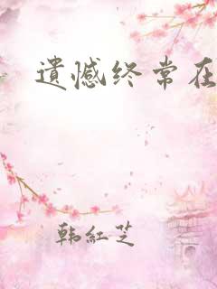 遗憾终常在小说