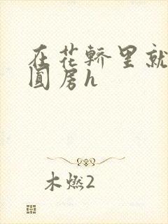 在花轿里就开始圆房h