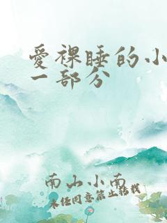 爱裸睡的小丹第一部分