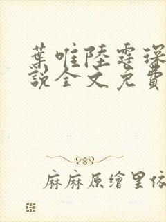 叶唯陆霆琛的小说全文免费阅读