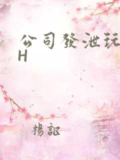 公司发泄玩具lH