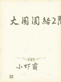 大团圆结2阅读