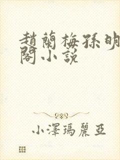 赵兰梅孙明笔趣阁小说