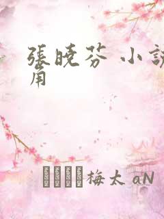 张晓芬 小说主角