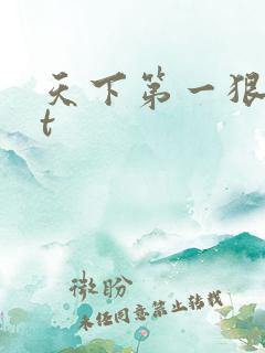 天下第一狠txt