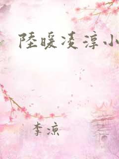 陆暖凌淳小说