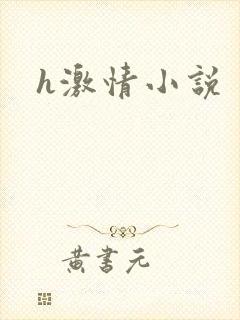 h激情小说