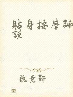 贴身按摩师 小说